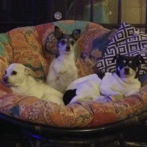 Meet your Posher, Christa